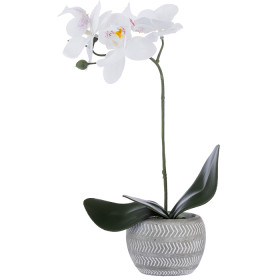 Real-Touch-Orchid on sale