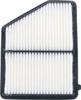 ProSelect-Air-Filter on sale