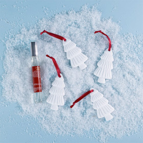 Christmas-Wishes-Hanging-Tree-Diffuser-Set-Of-4 on sale