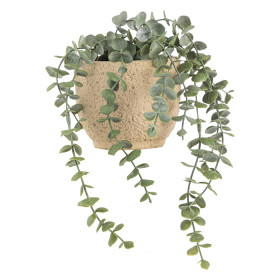 Potted-Hanging-Plant on sale